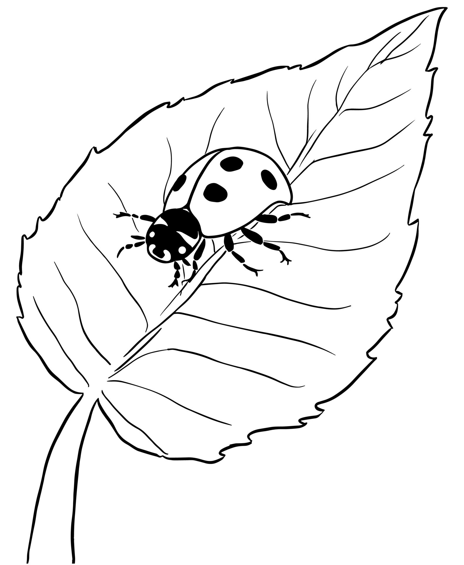 200+ Ladybug Coloring Page Ideas: Cute and Colorful Creations 17