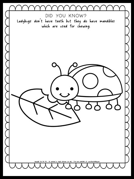 200+ Ladybug Coloring Page Ideas: Cute and Colorful Creations 179