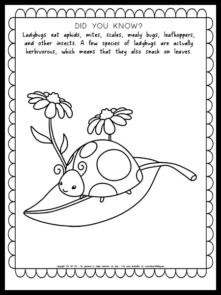 200+ Ladybug Coloring Page Ideas: Cute and Colorful Creations 180