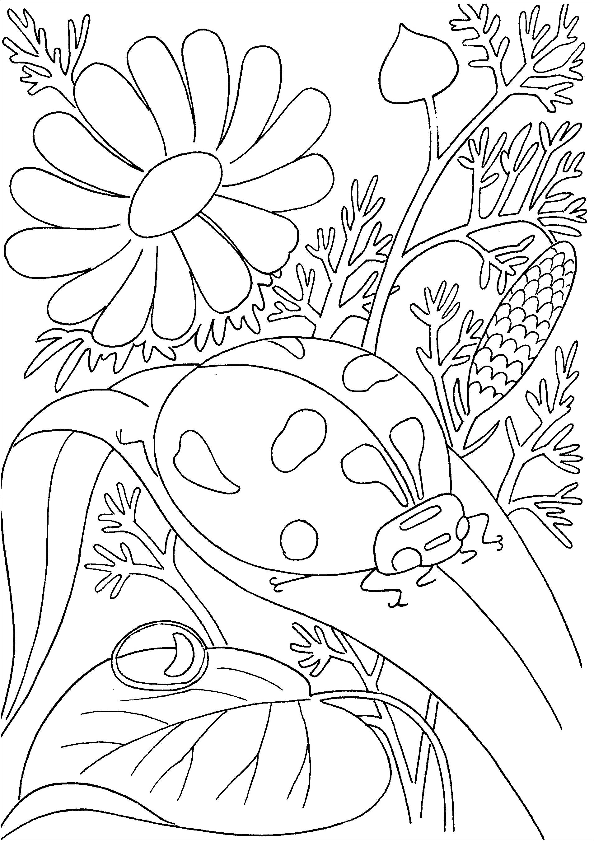 200+ Ladybug Coloring Page Ideas: Cute and Colorful Creations 8