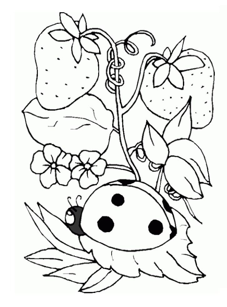 200+ Ladybug Coloring Page Ideas: Cute and Colorful Creations 98