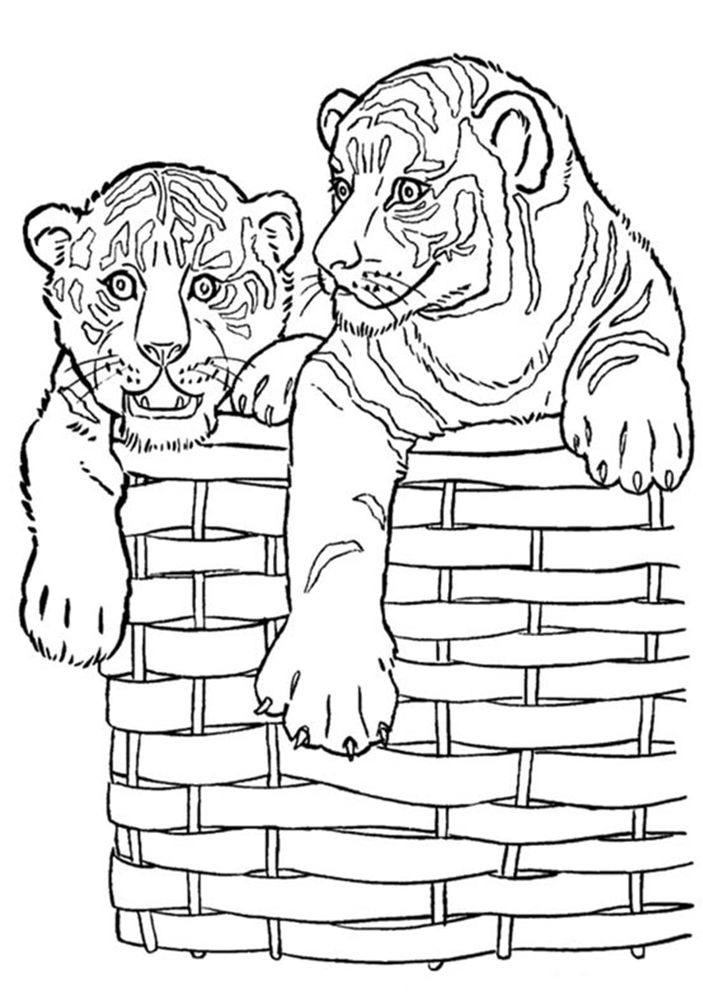 130+ Tiger Coloring Page Designs 106