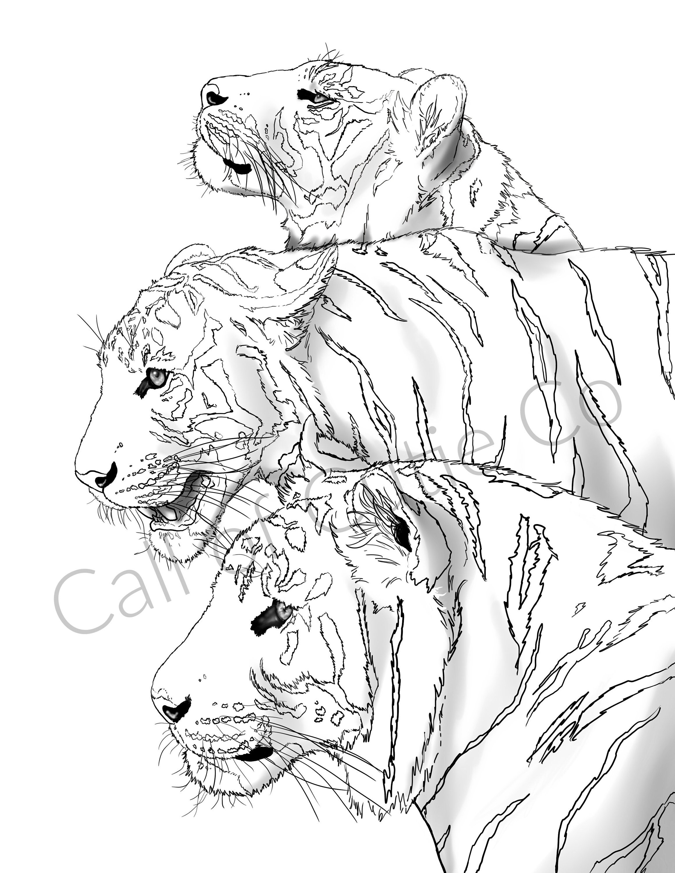 130+ Tiger Coloring Page Designs 11