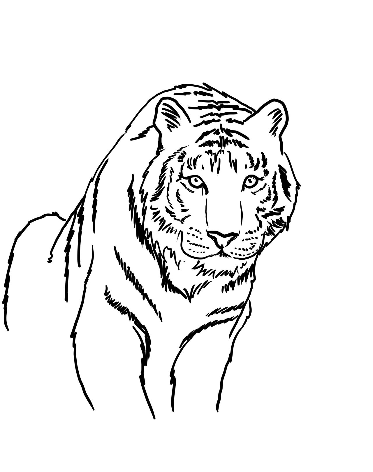 130+ Tiger Coloring Page Designs 112