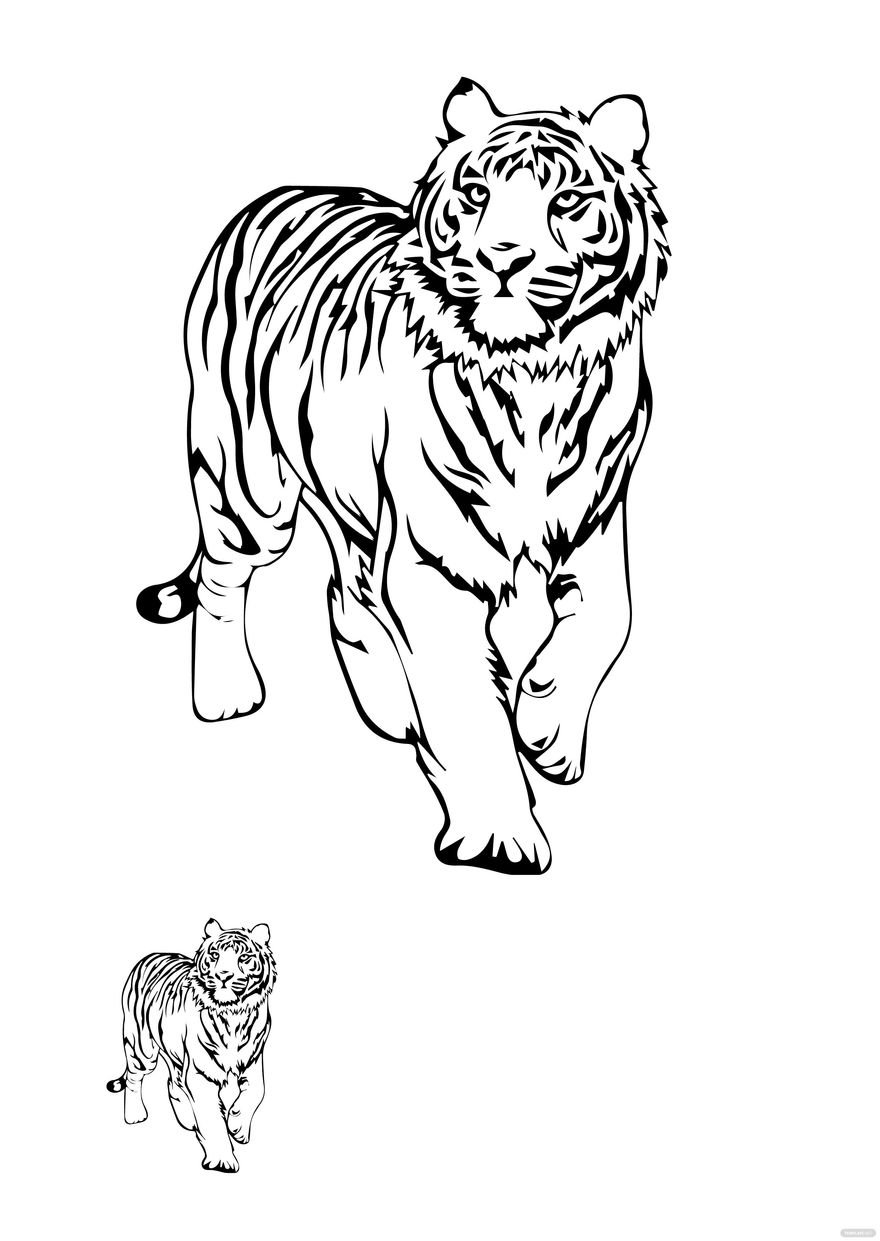 130+ Tiger Coloring Page Designs 14