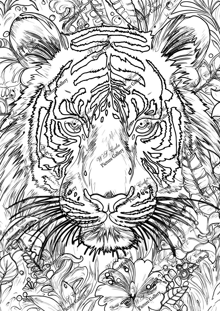 130+ Tiger Coloring Page Designs 25