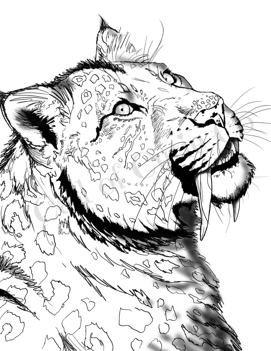 130+ Tiger Coloring Page Designs 28