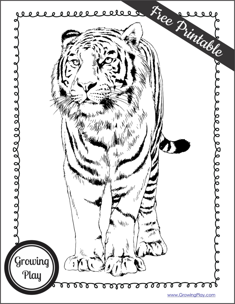 130+ Tiger Coloring Page Designs 40