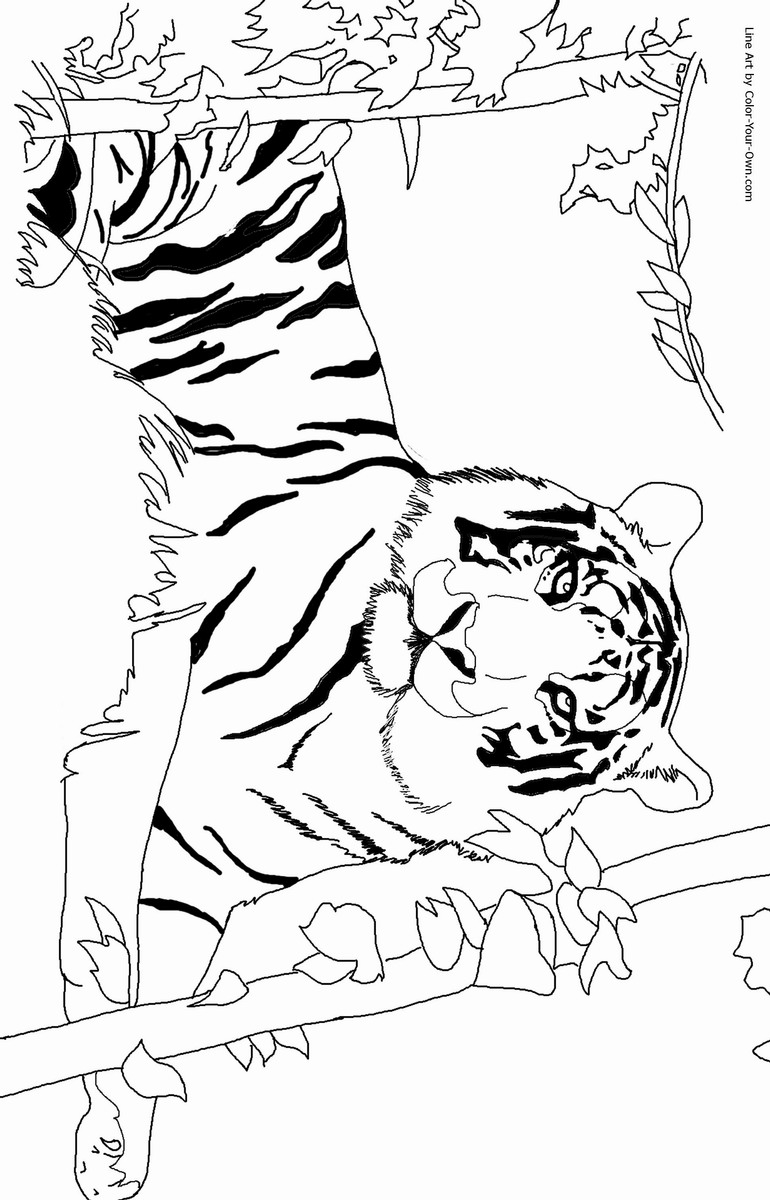 130+ Tiger Coloring Page Designs 44