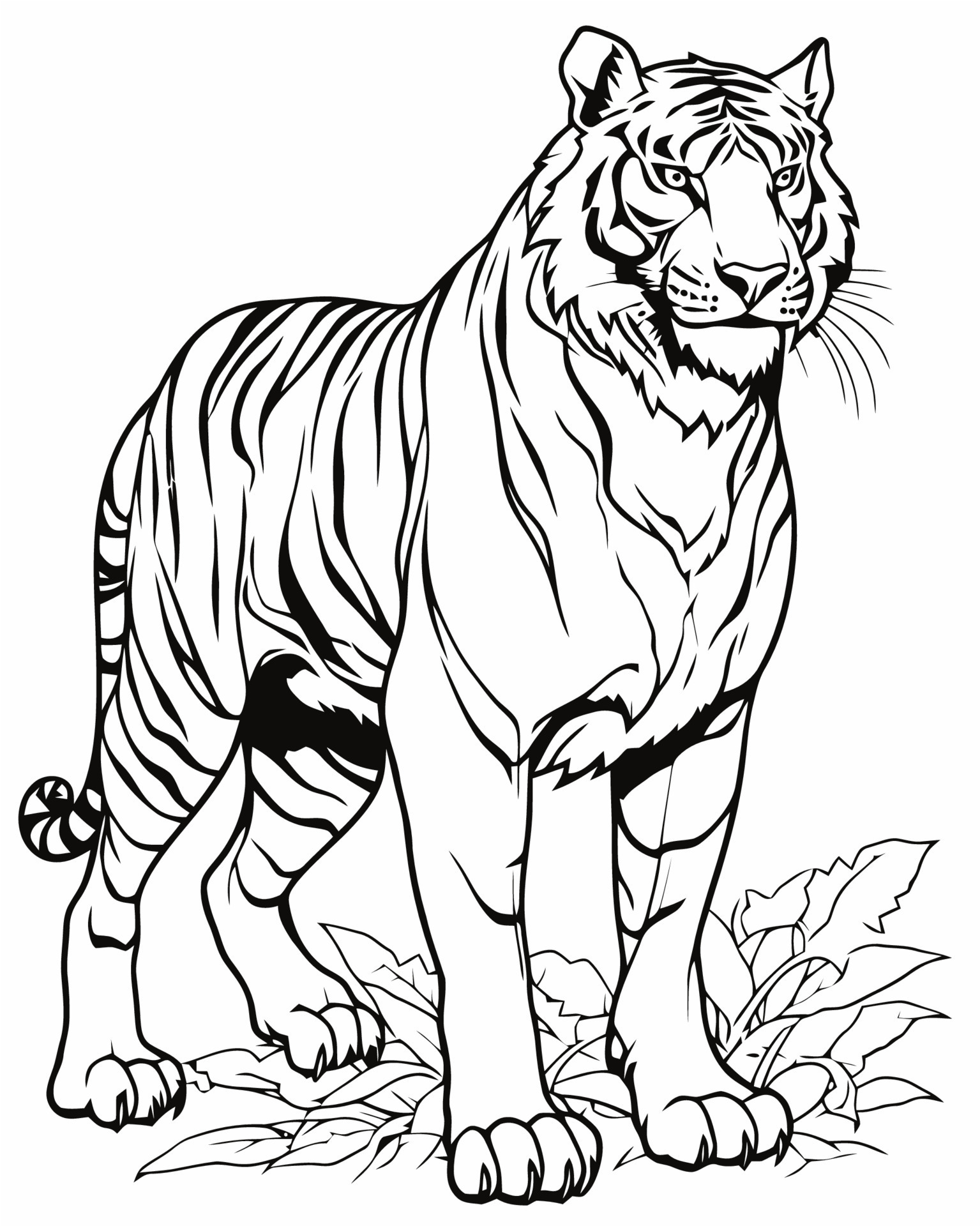 130+ Tiger Coloring Page Designs 7