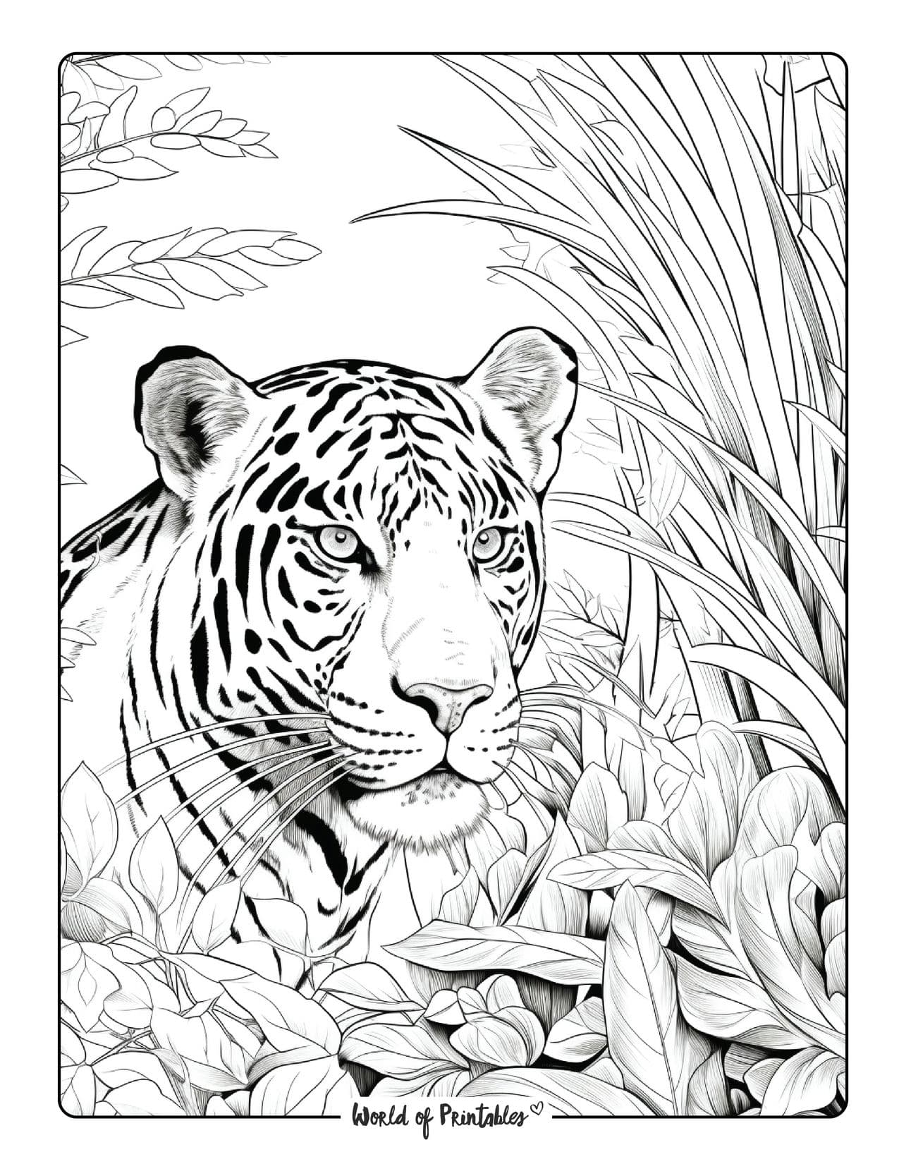 130+ Tiger Coloring Page Designs 72