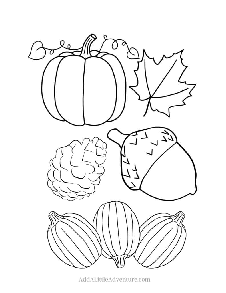 184 Squash Coloring Pages Printable 1