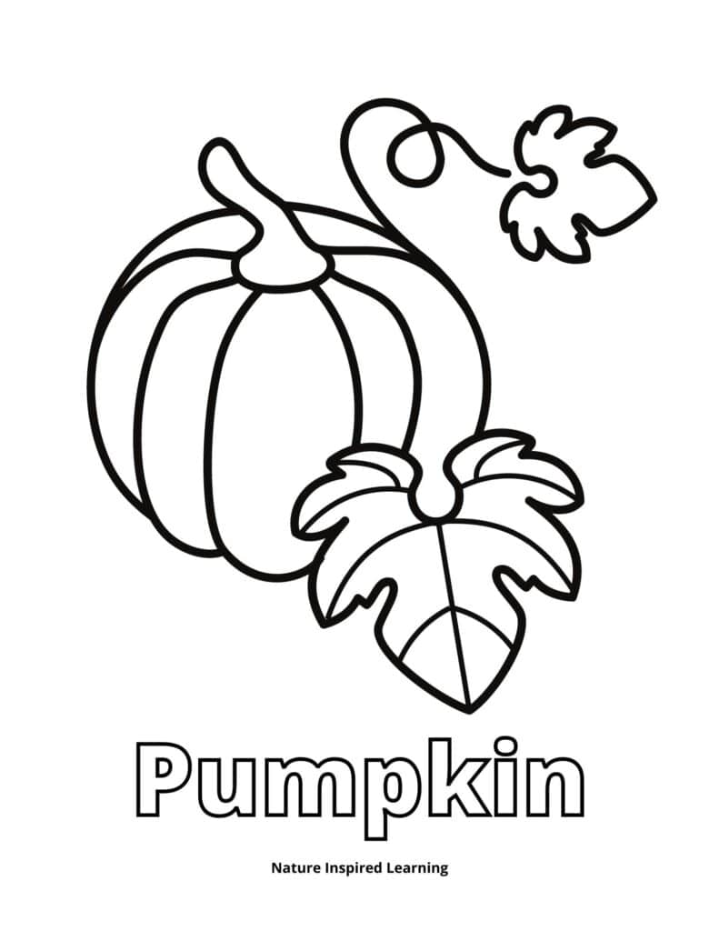 184 Squash Coloring Pages Printable 118