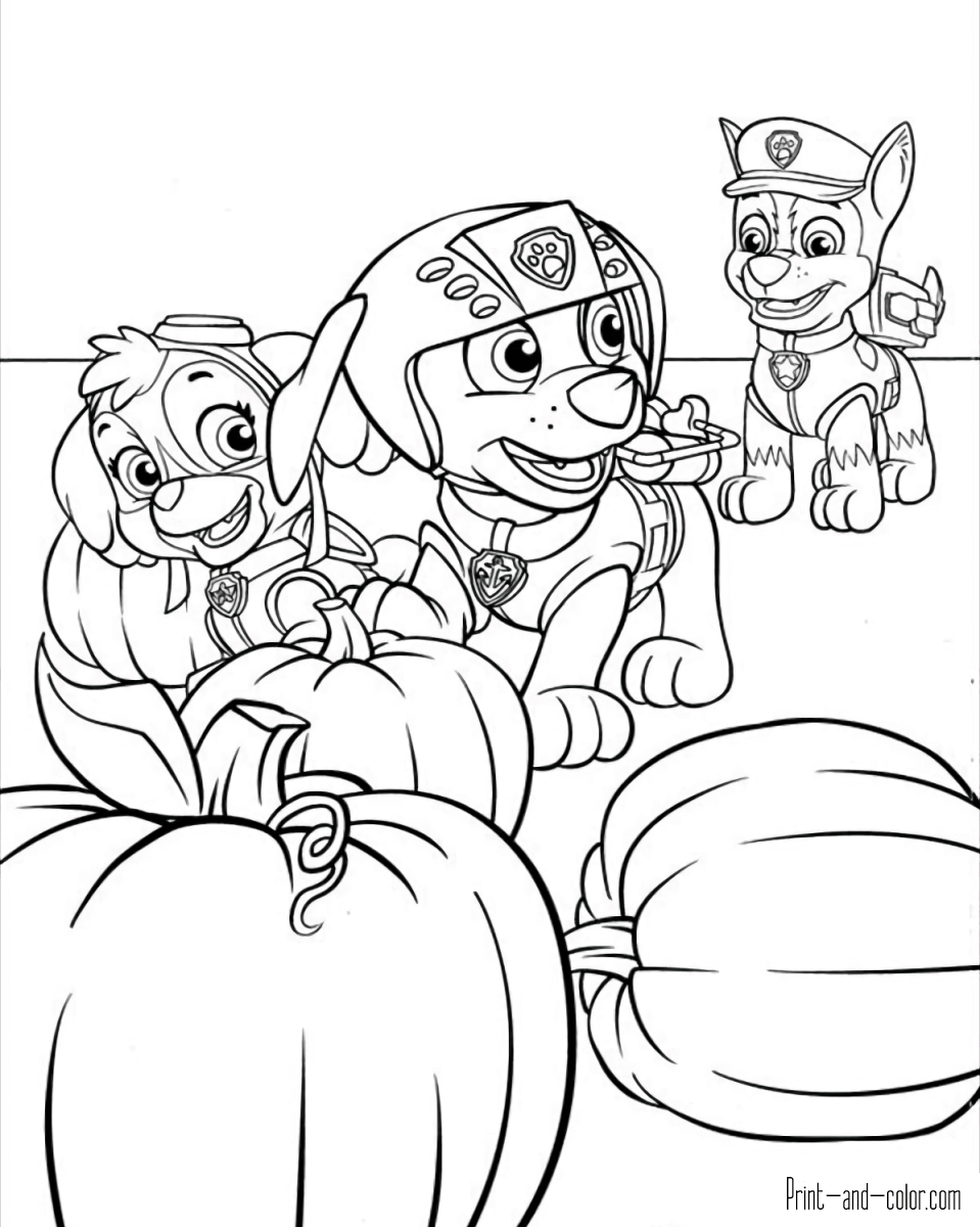 184 Squash Coloring Pages Printable 166