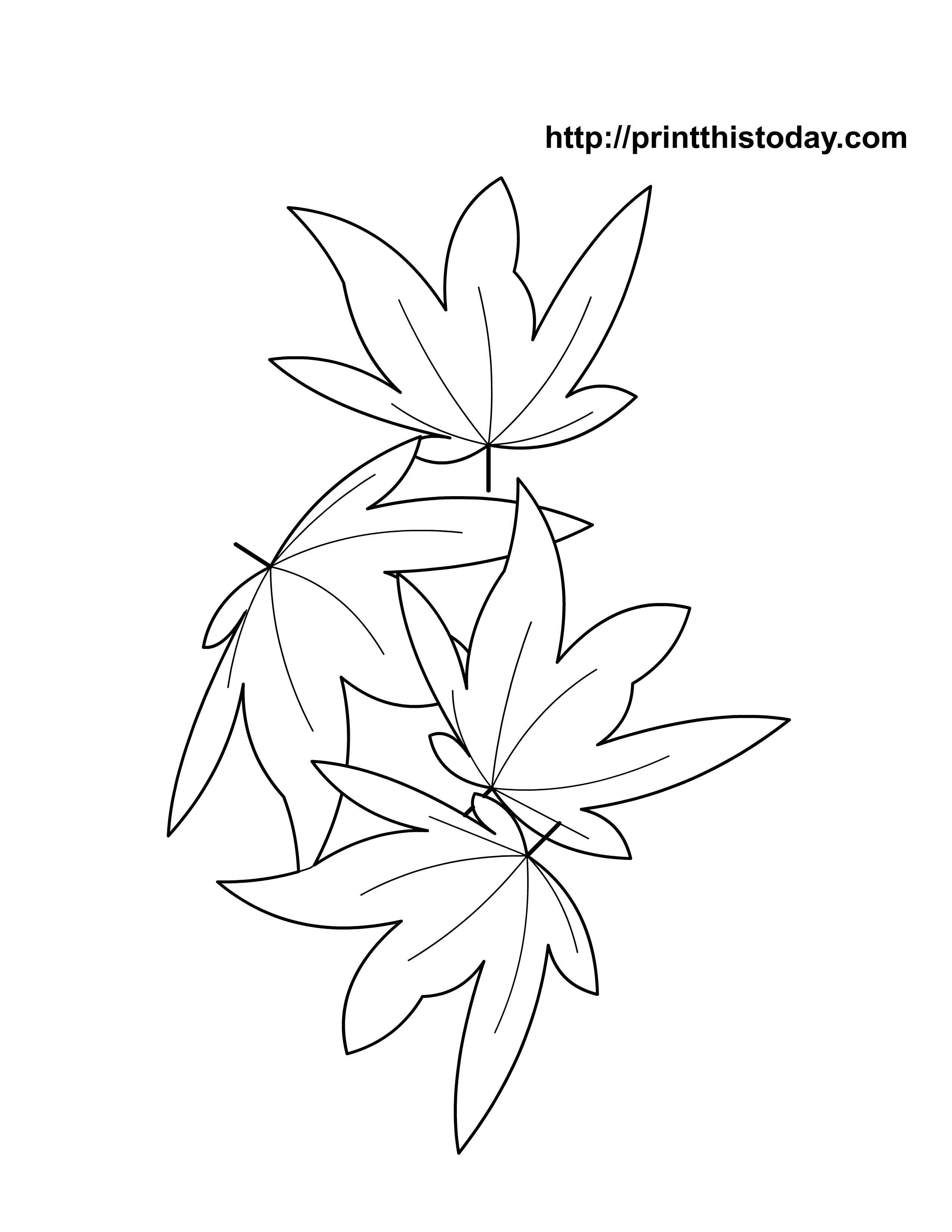 184 Squash Coloring Pages Printable 175