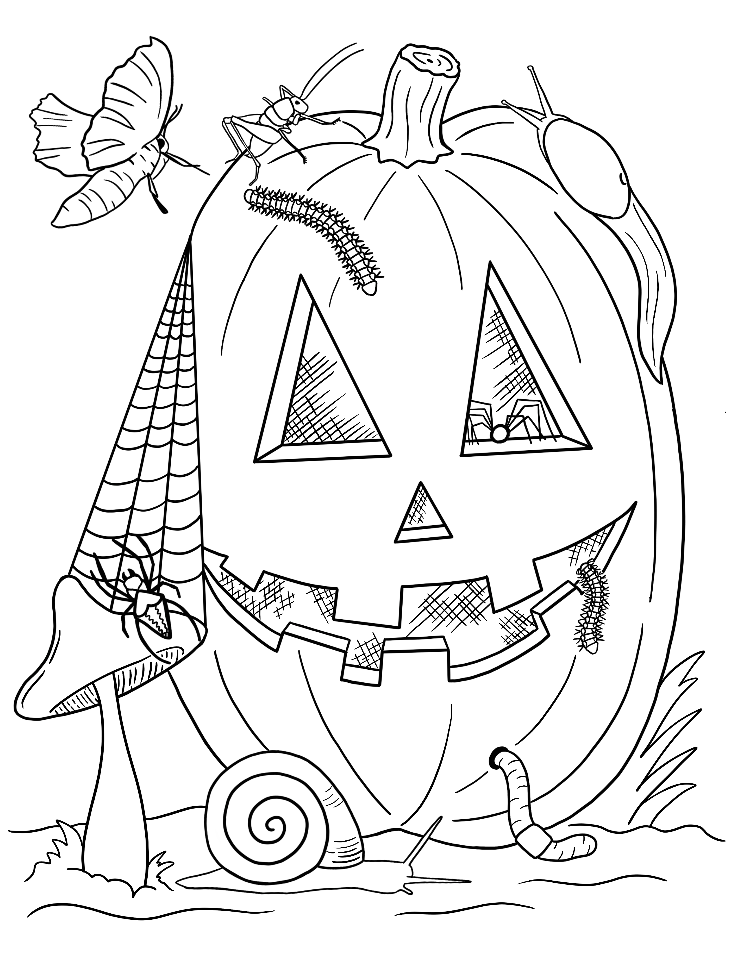 184 Squash Coloring Pages Printable 25