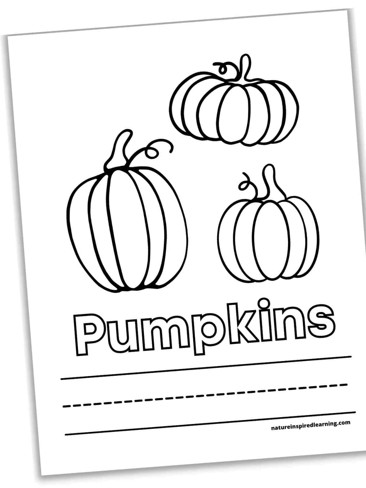 184 Squash Coloring Pages Printable 27