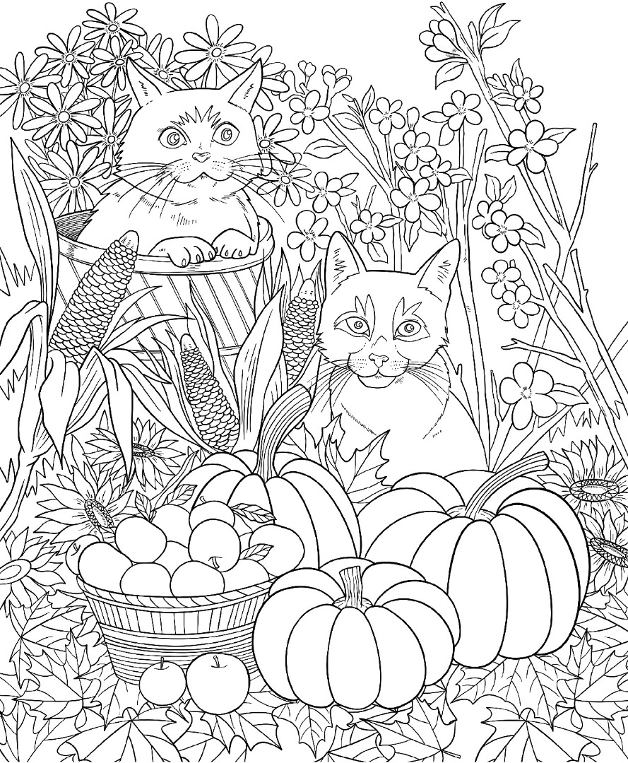 184 Squash Coloring Pages Printable 29