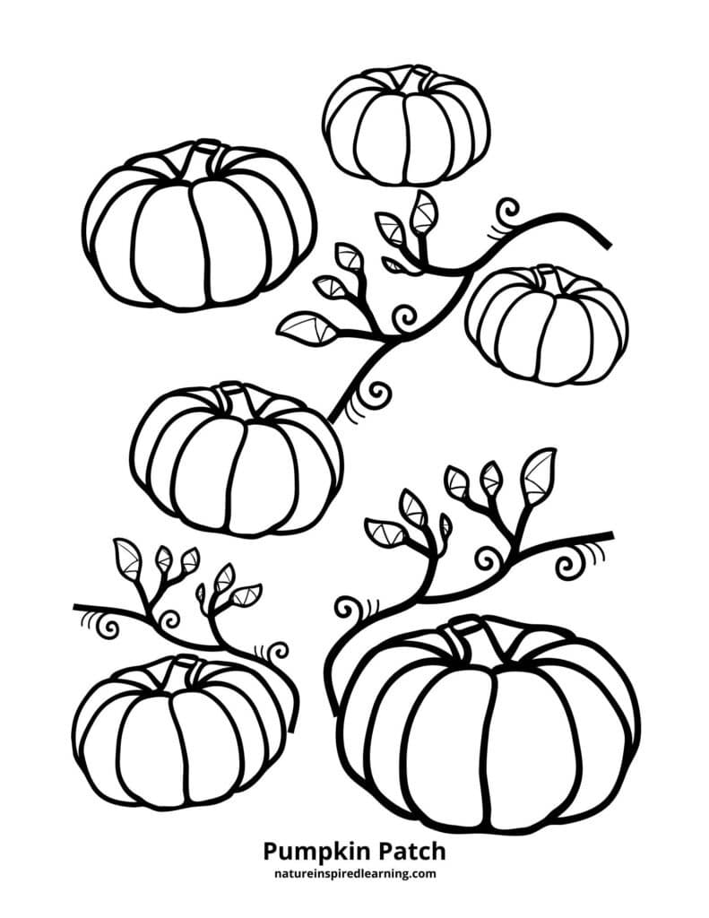 184 Squash Coloring Pages Printable 52