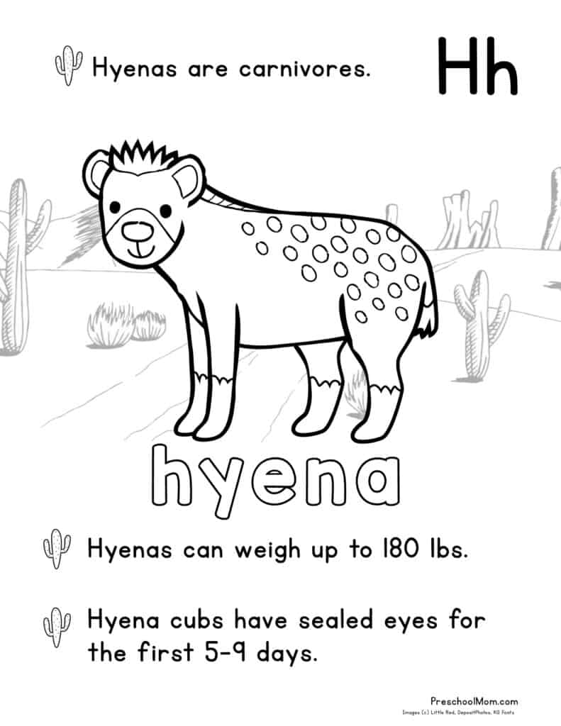 191 Desert Animals Coloring Pages for Kids Printable 11