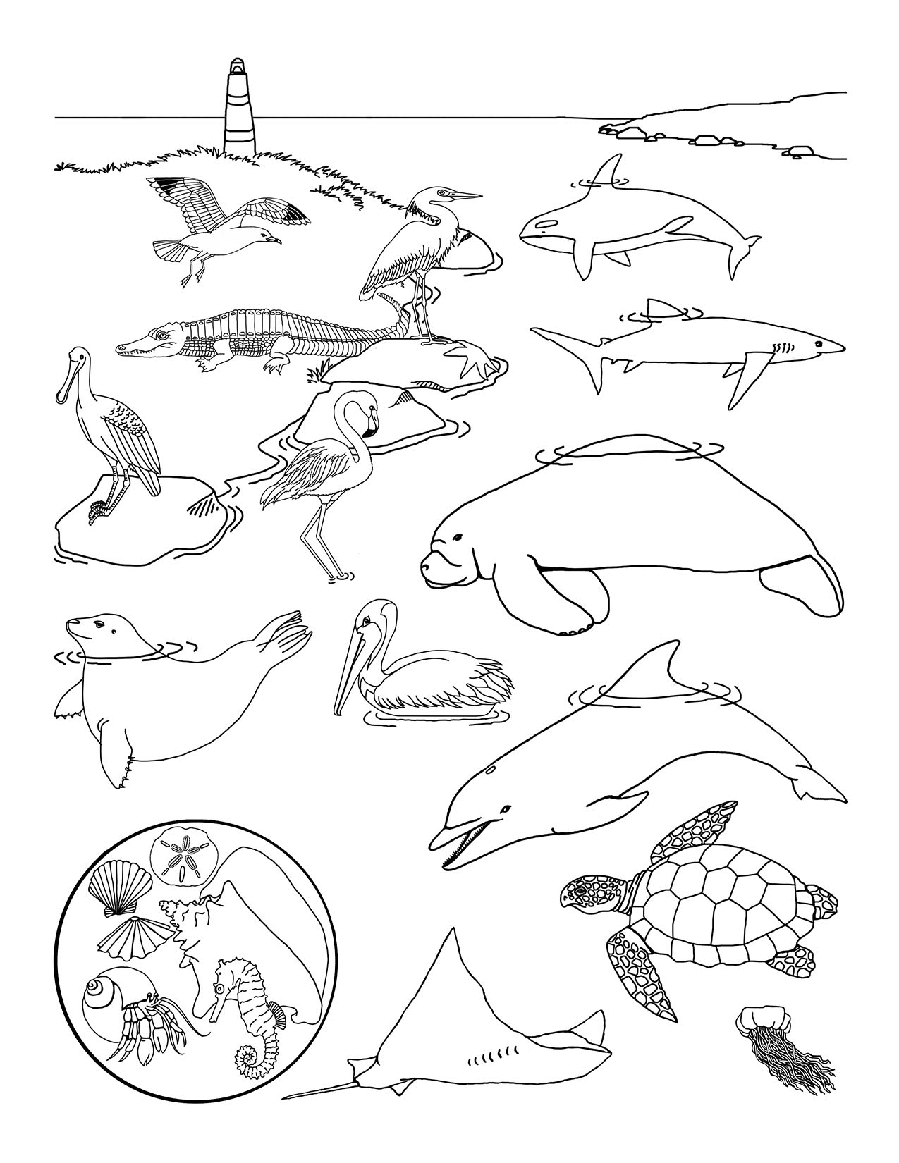 191 Desert Animals Coloring Pages for Kids Printable 123