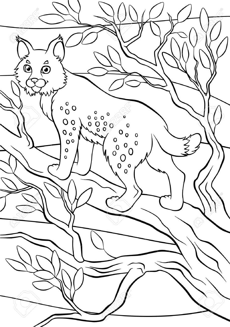 191 Desert Animals Coloring Pages for Kids Printable 124