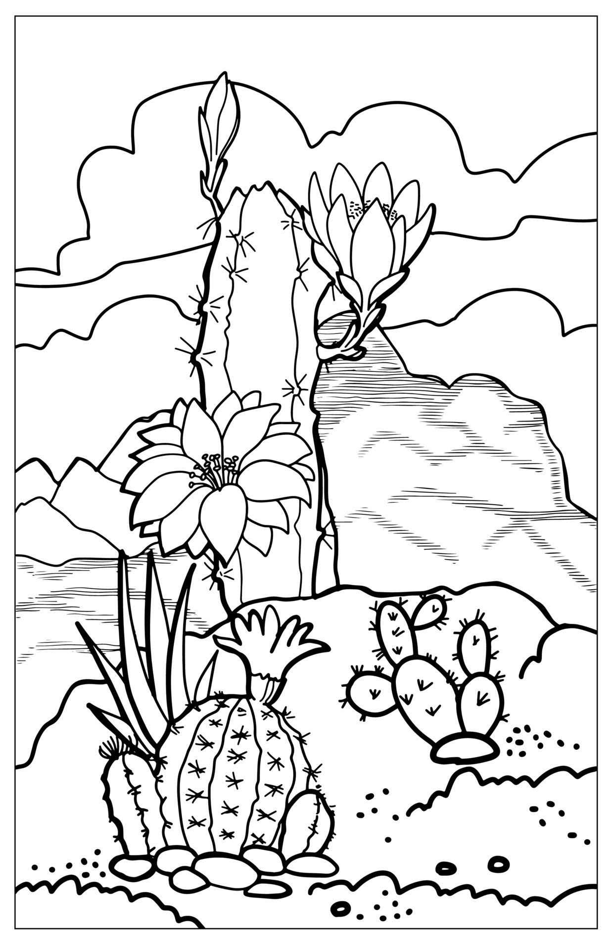 191 Desert Animals Coloring Pages for Kids Printable 133