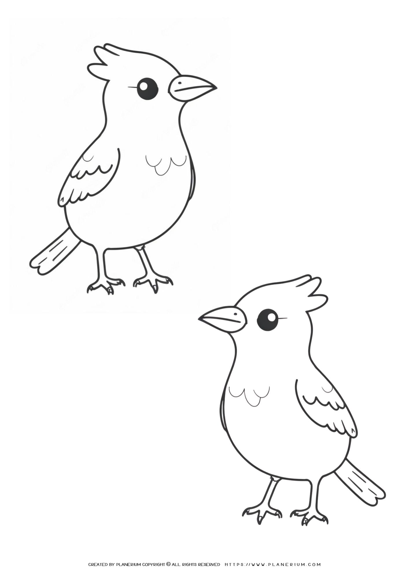 191 Desert Animals Coloring Pages for Kids Printable 14