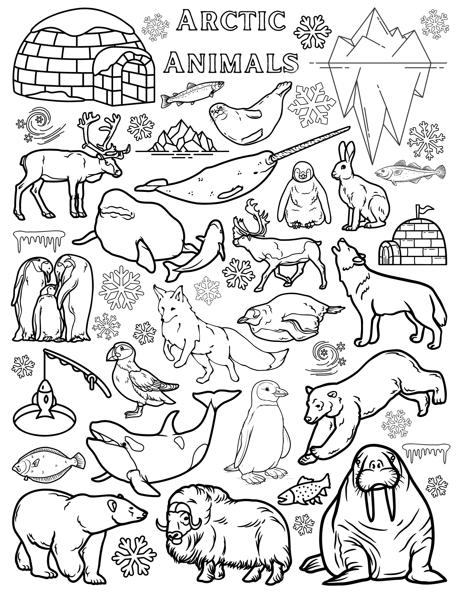 191 Desert Animals Coloring Pages for Kids Printable 141