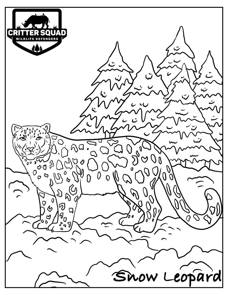 191 Desert Animals Coloring Pages for Kids Printable 146