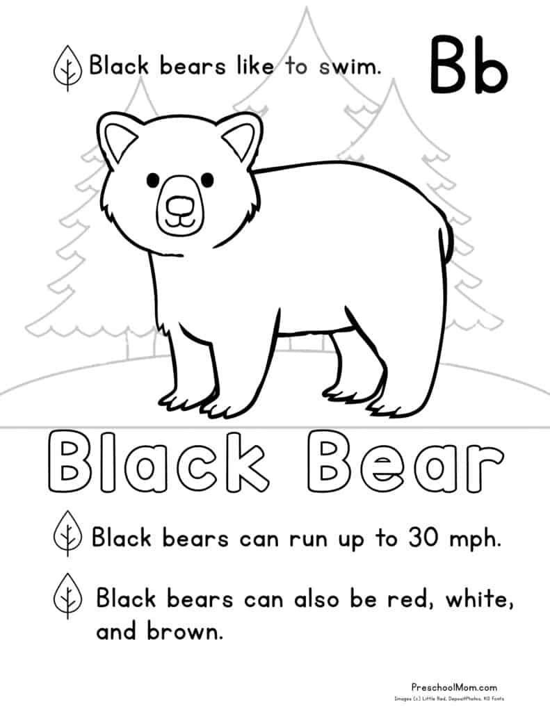 191 Desert Animals Coloring Pages for Kids Printable 148