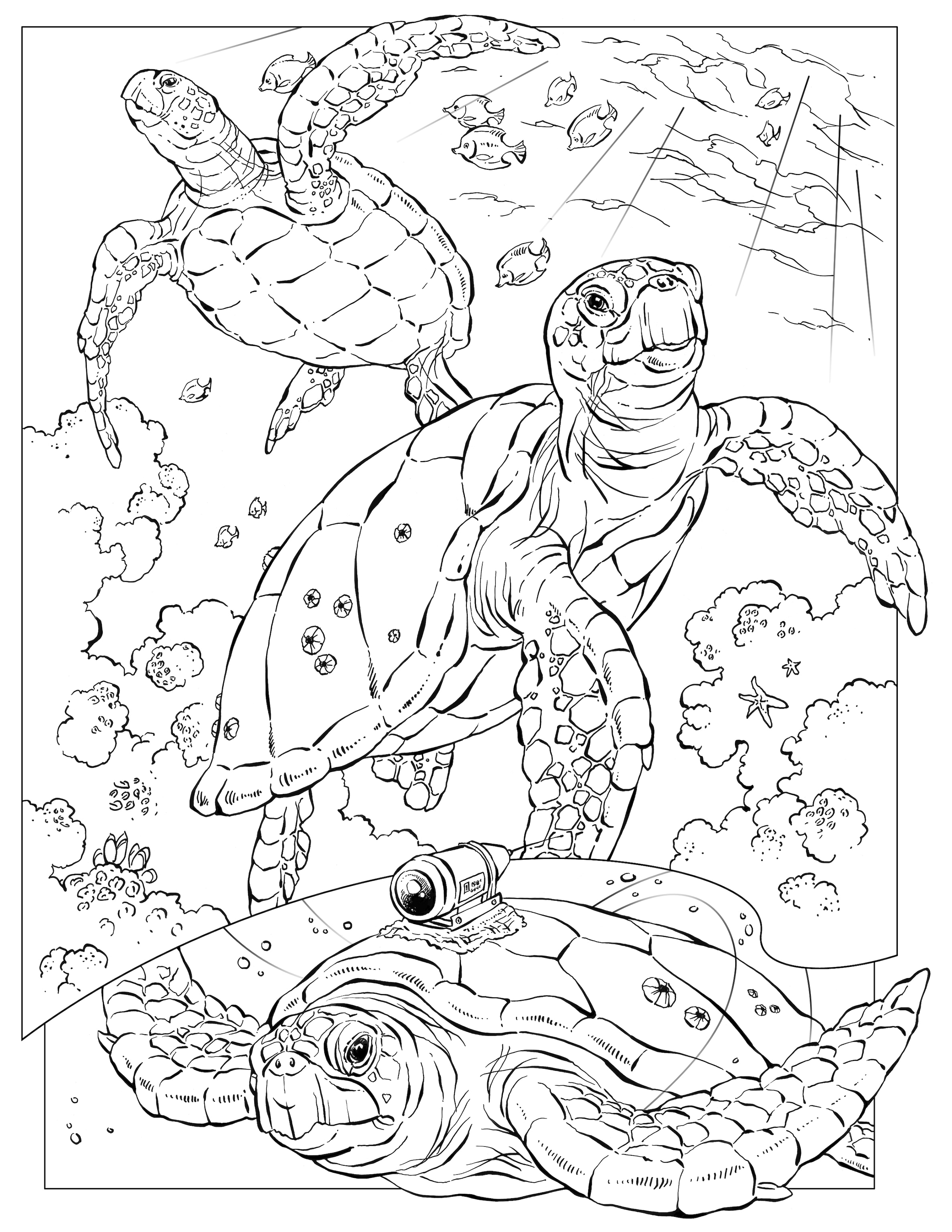 191 Desert Animals Coloring Pages for Kids Printable 159