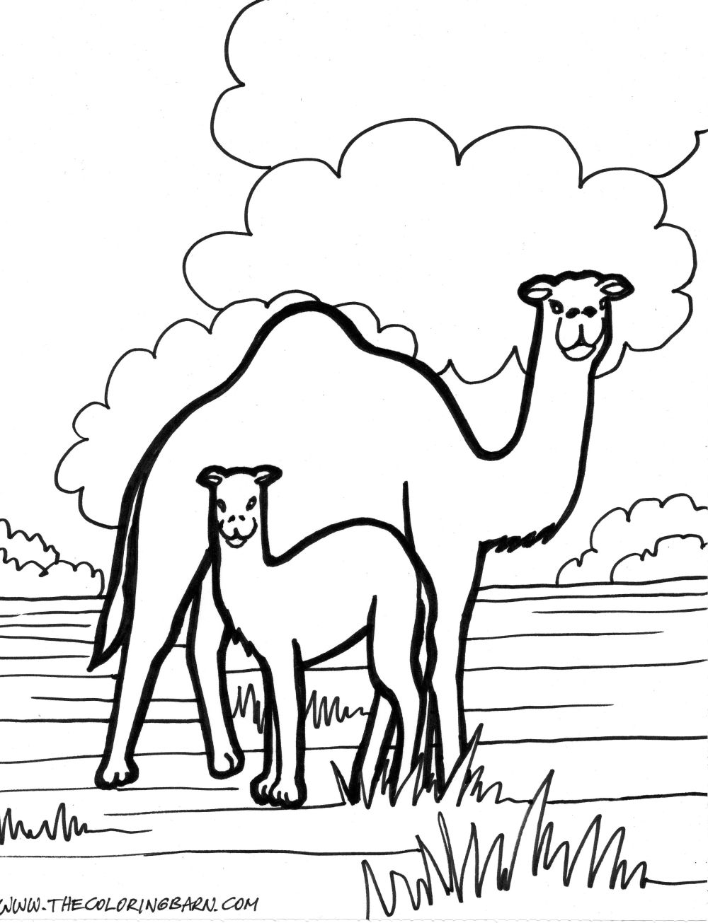 191 Desert Animals Coloring Pages for Kids Printable 162