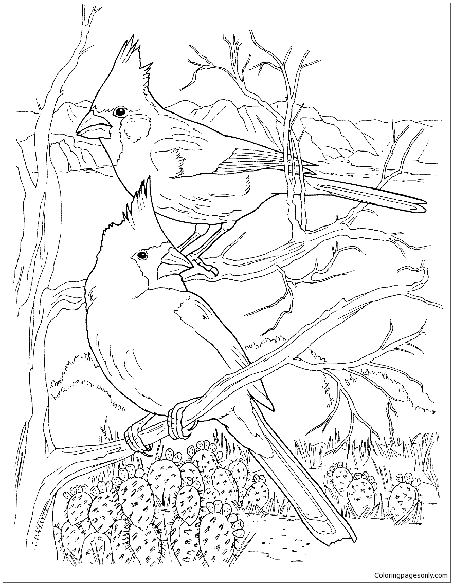 191 Desert Animals Coloring Pages for Kids Printable 166