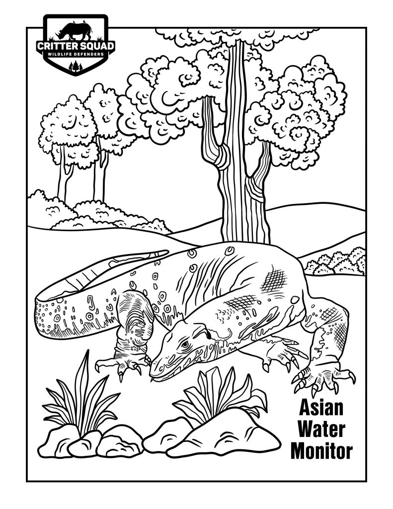 191 Desert Animals Coloring Pages for Kids Printable 167