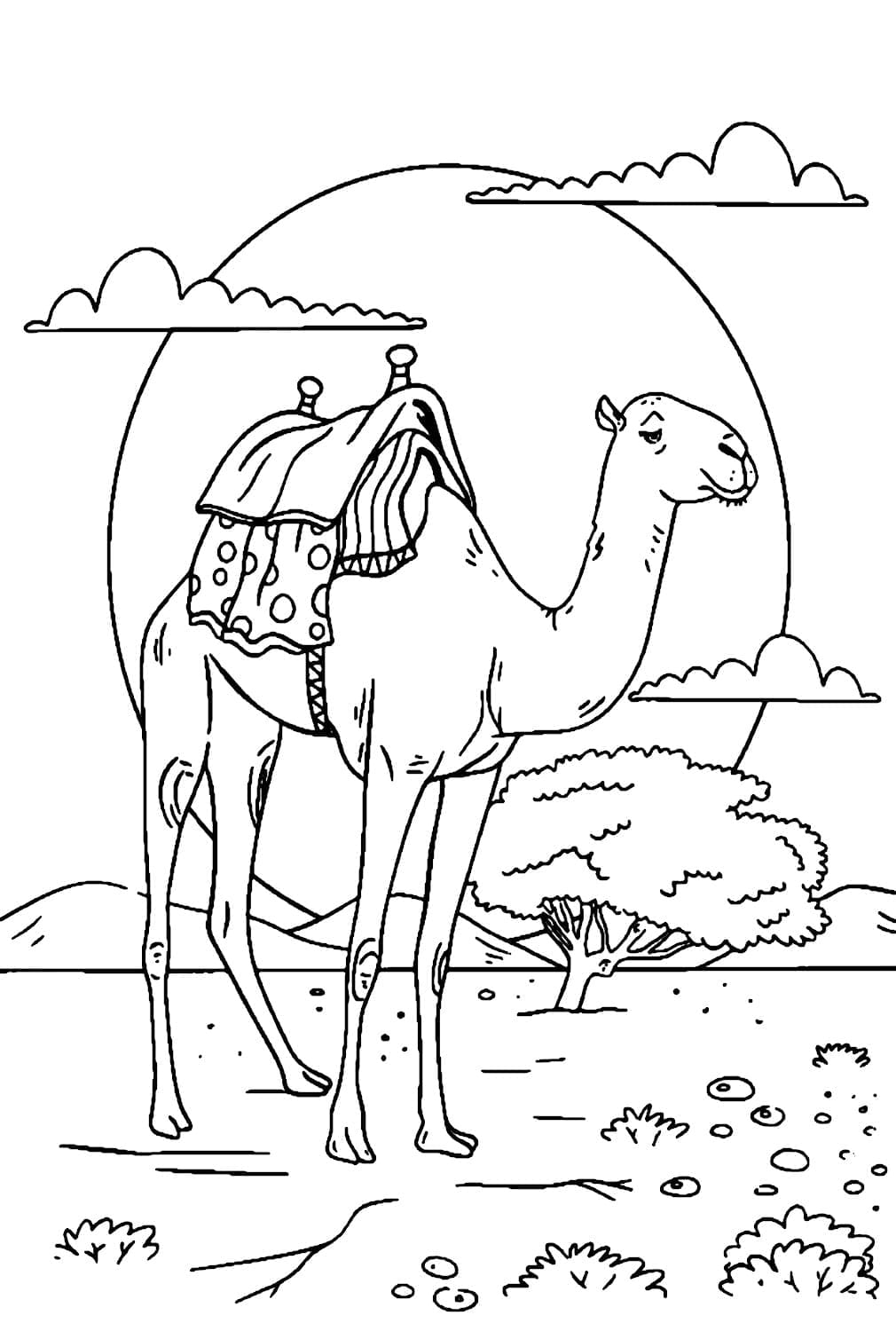 191 Desert Animals Coloring Pages for Kids Printable 170