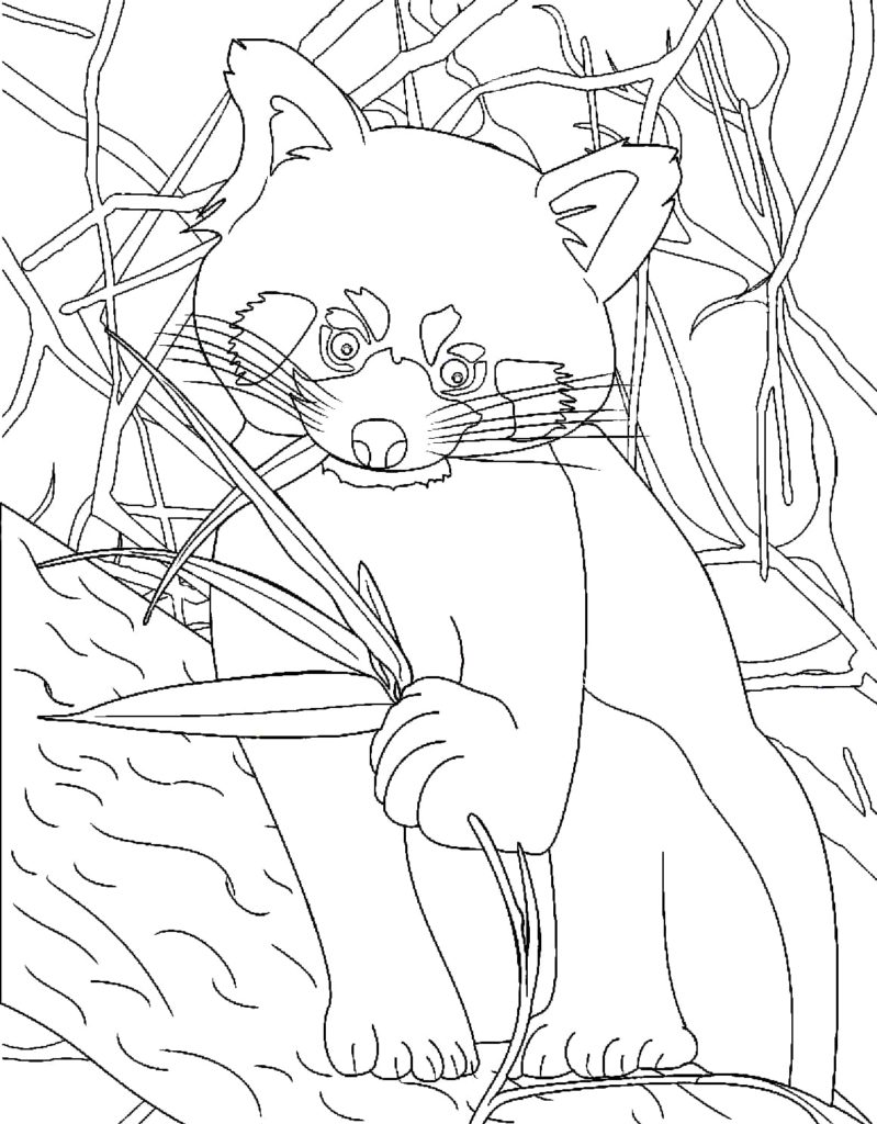 191 Desert Animals Coloring Pages for Kids Printable 179