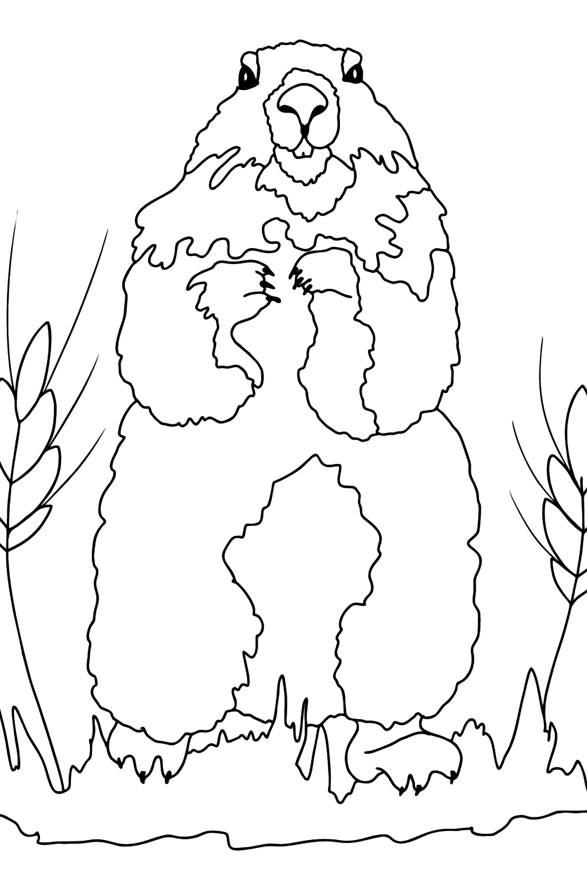 191 Desert Animals Coloring Pages for Kids Printable 190