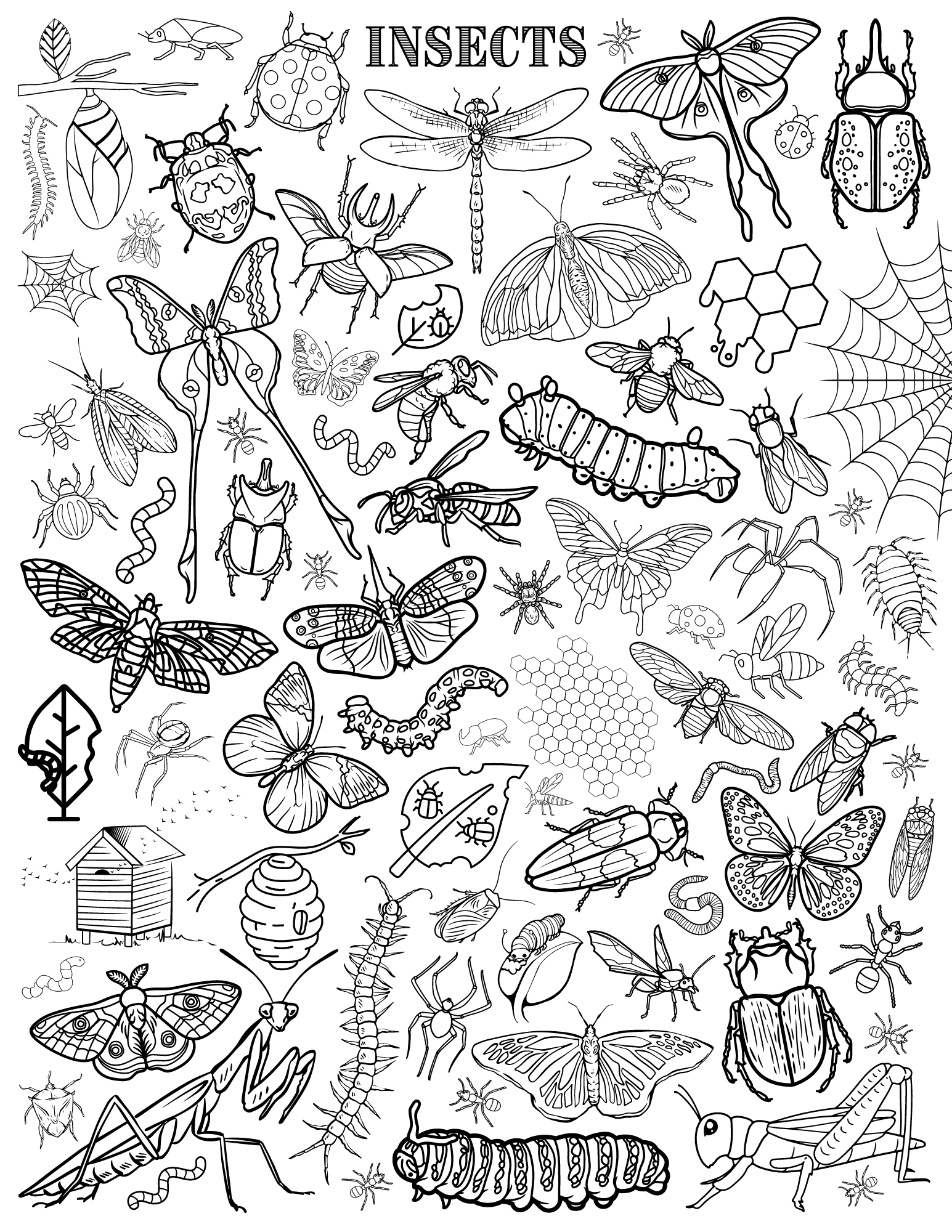 191 Desert Animals Coloring Pages for Kids Printable 191