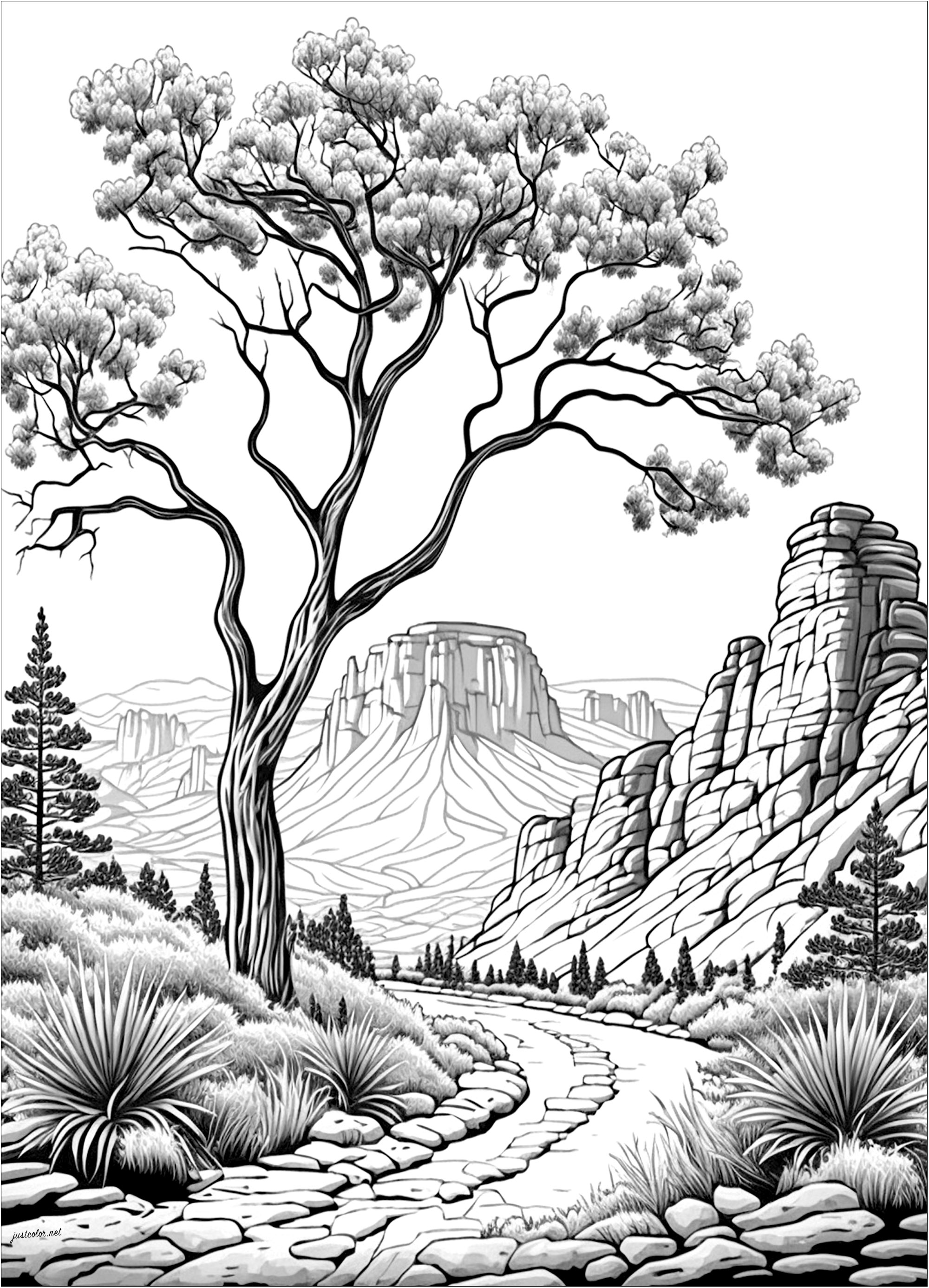 191 Desert Animals Coloring Pages for Kids Printable 194