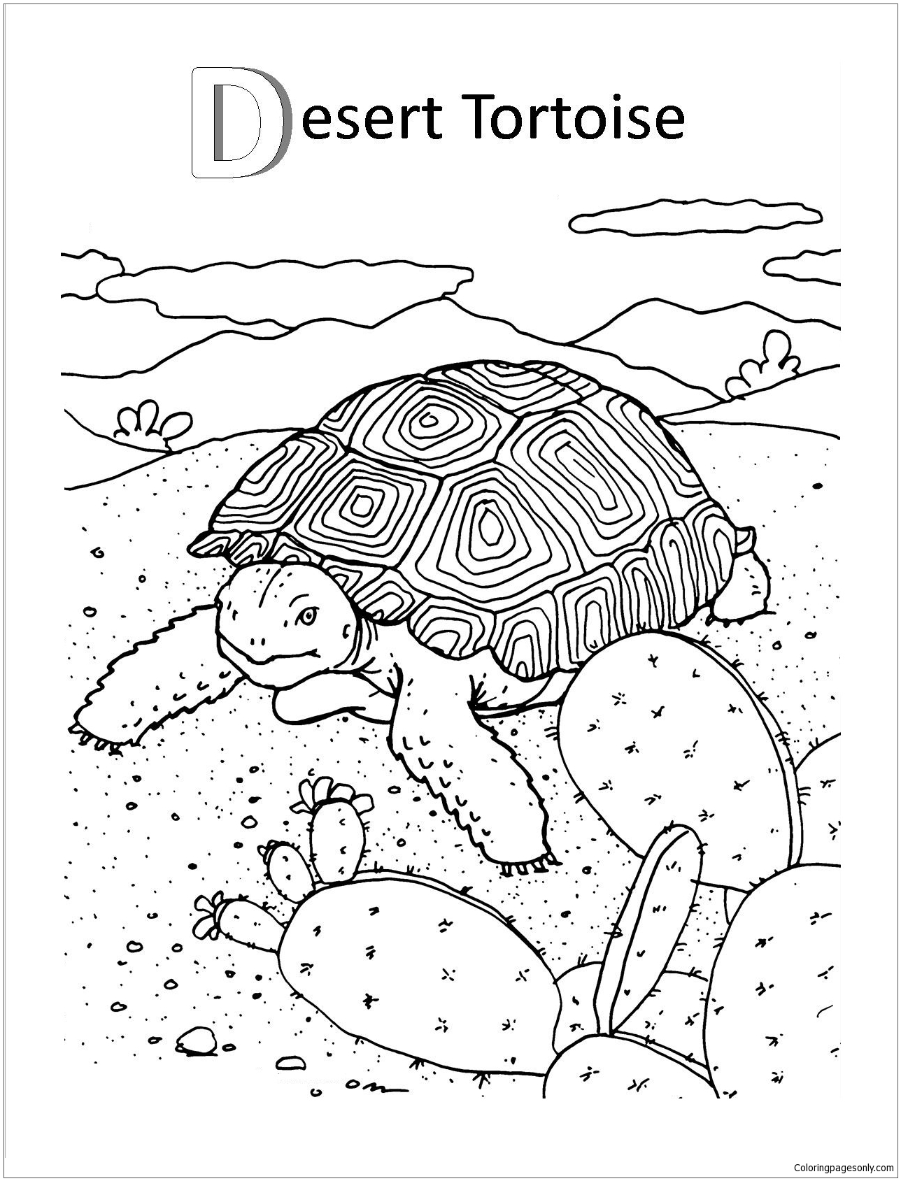 191 Desert Animals Coloring Pages for Kids Printable 21