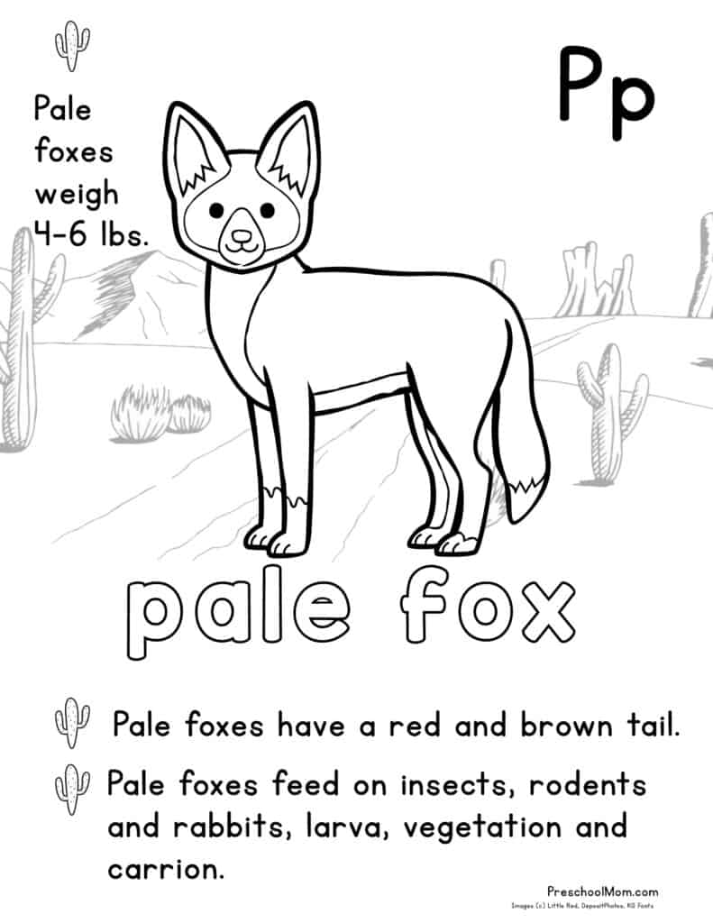 191 Desert Animals Coloring Pages for Kids Printable 22