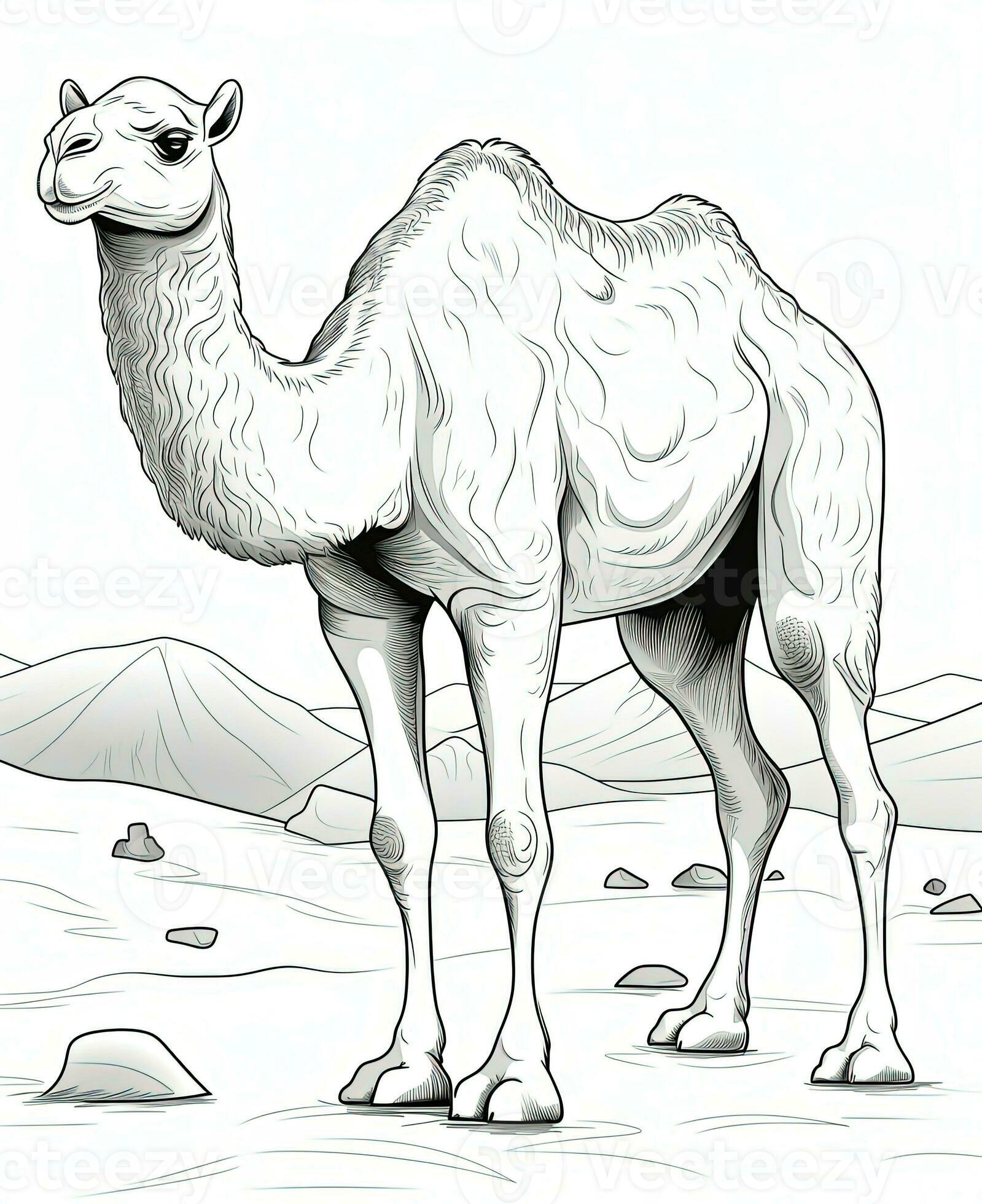 191 Desert Animals Coloring Pages for Kids Printable 37