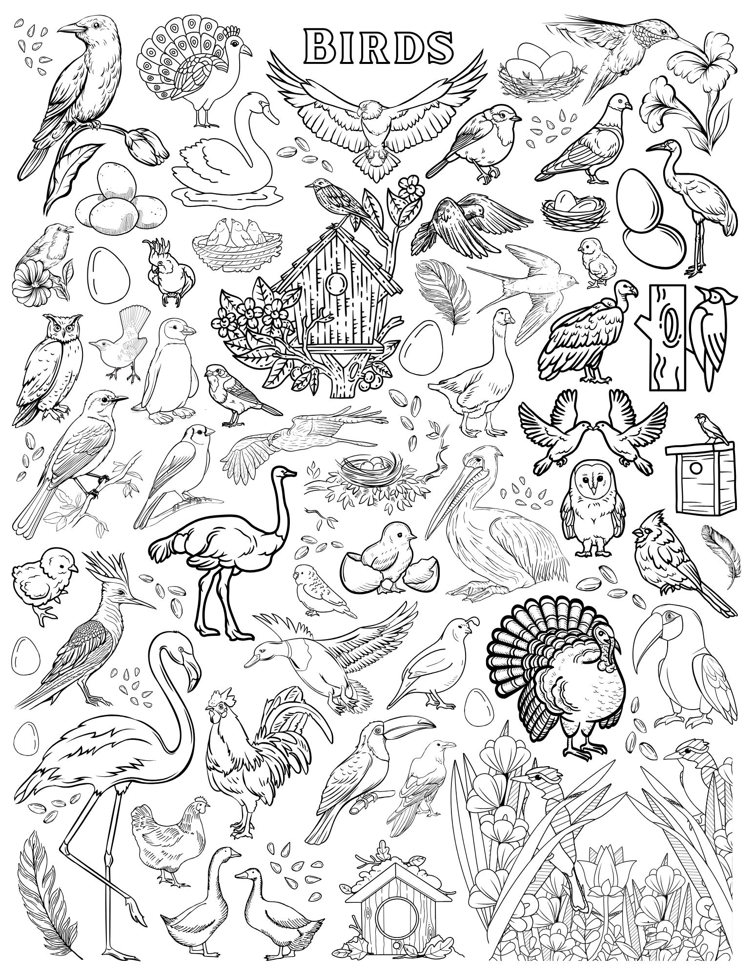 191 Desert Animals Coloring Pages for Kids Printable 43