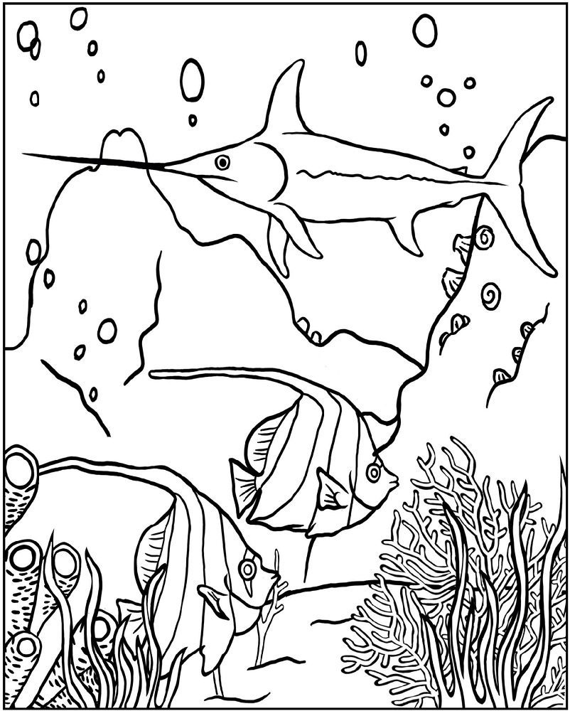 191 Desert Animals Coloring Pages for Kids Printable 47