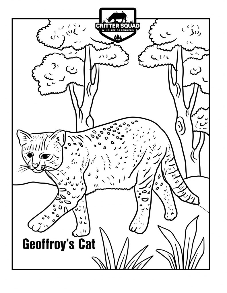 191 Desert Animals Coloring Pages for Kids Printable 59