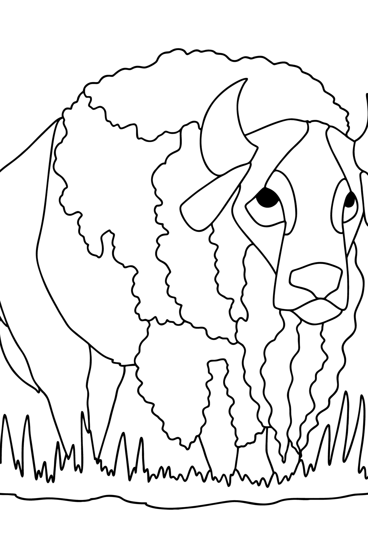 191 Desert Animals Coloring Pages for Kids Printable 6