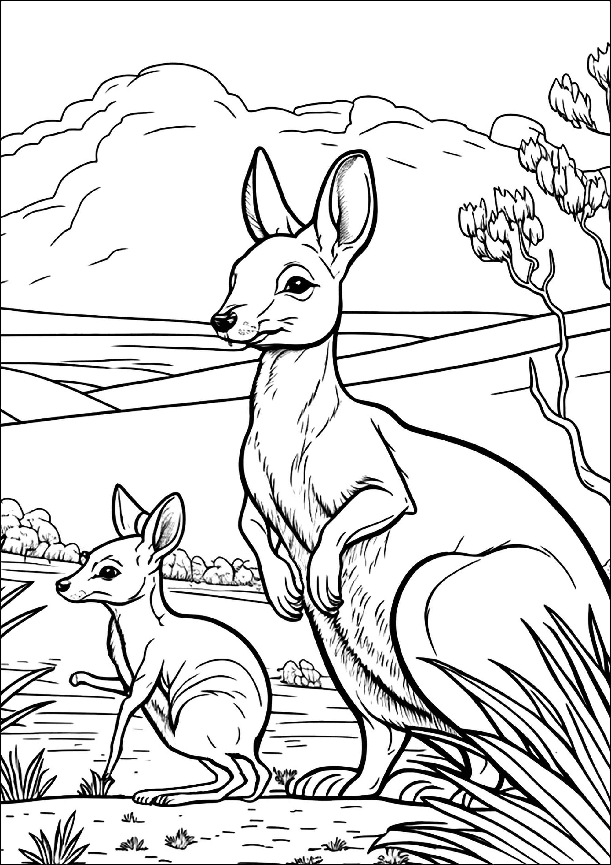 191 Desert Animals Coloring Pages for Kids Printable 63