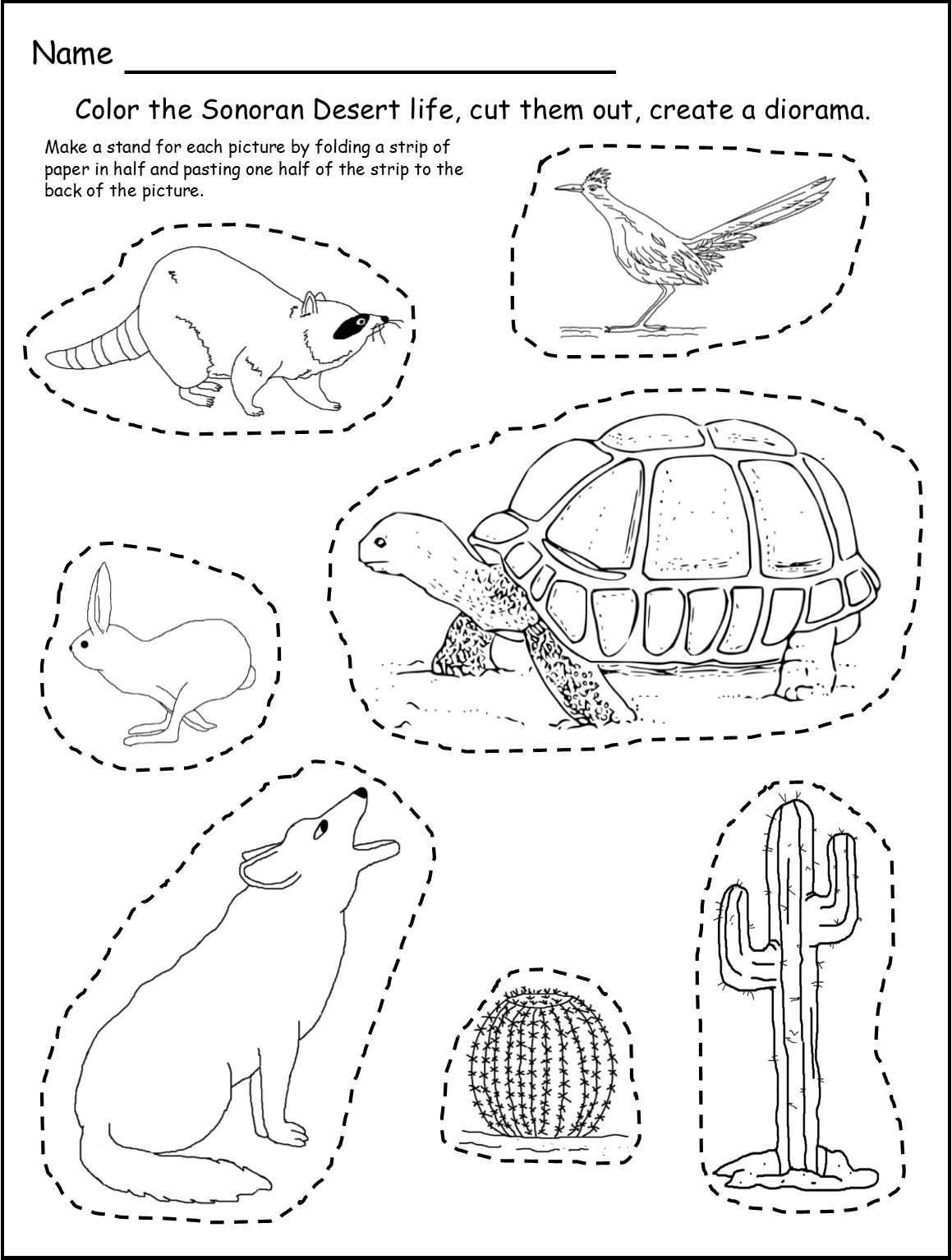 191 Desert Animals Coloring Pages for Kids Printable 67