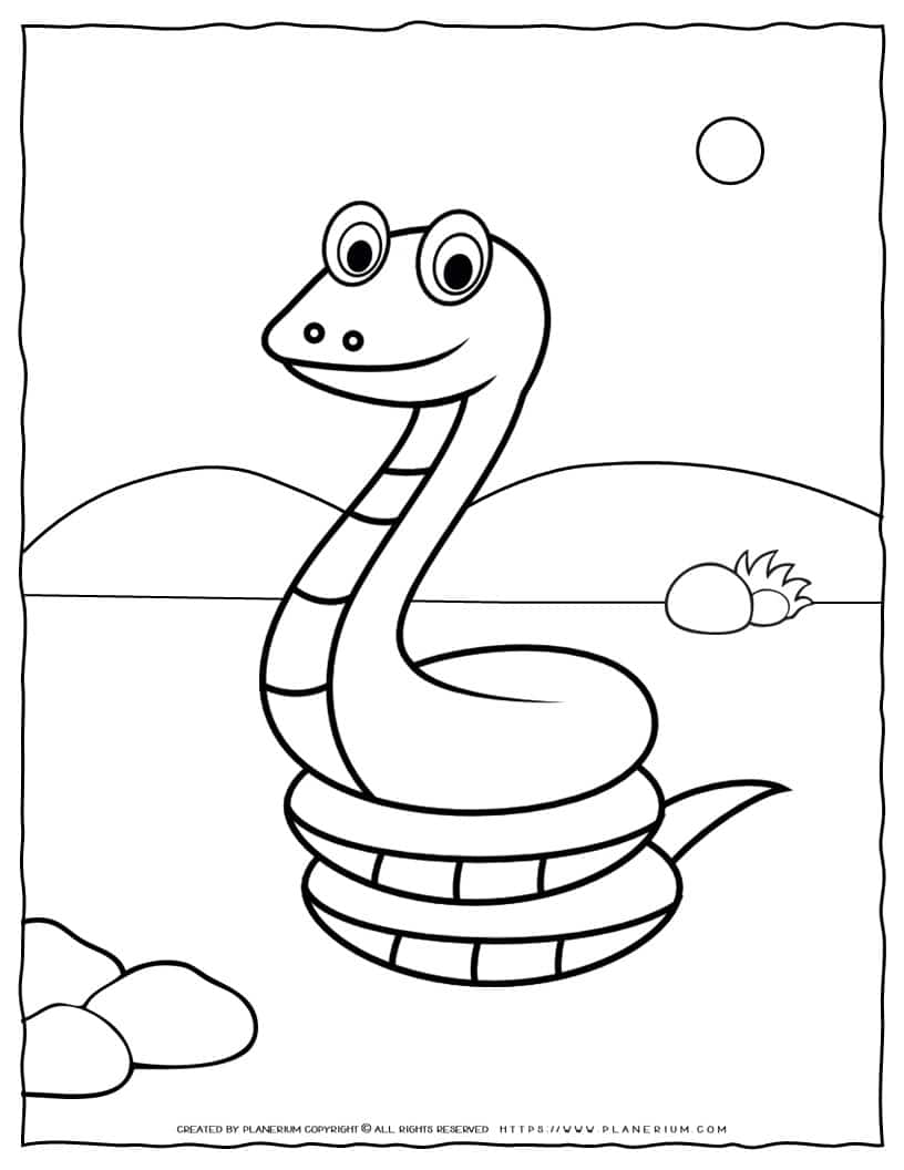 191 Desert Animals Coloring Pages for Kids Printable 68